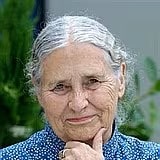 Lessing Doris (2007)