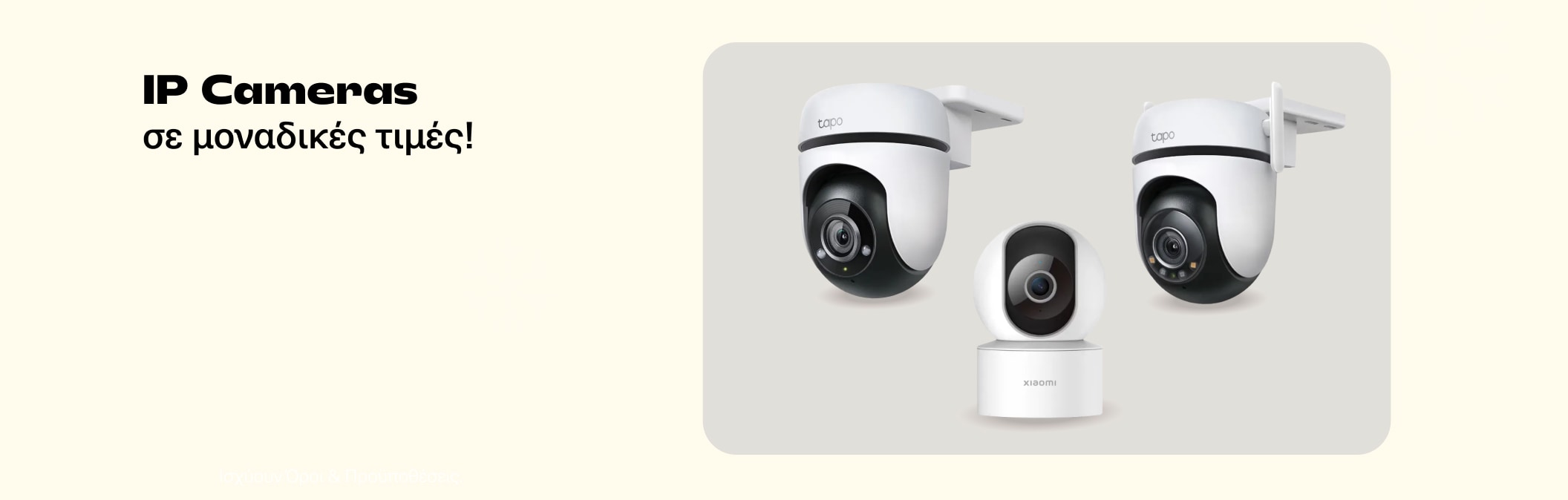 IP Cameras