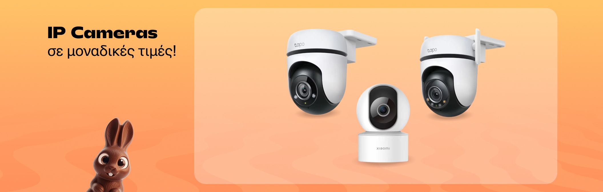 IP Cameras Offers easter