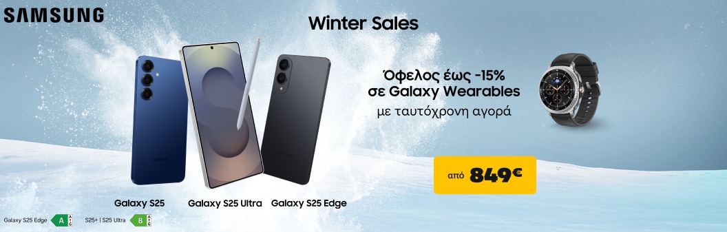 Samsung Galaxy S25 Series WS