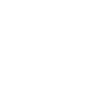 Tip