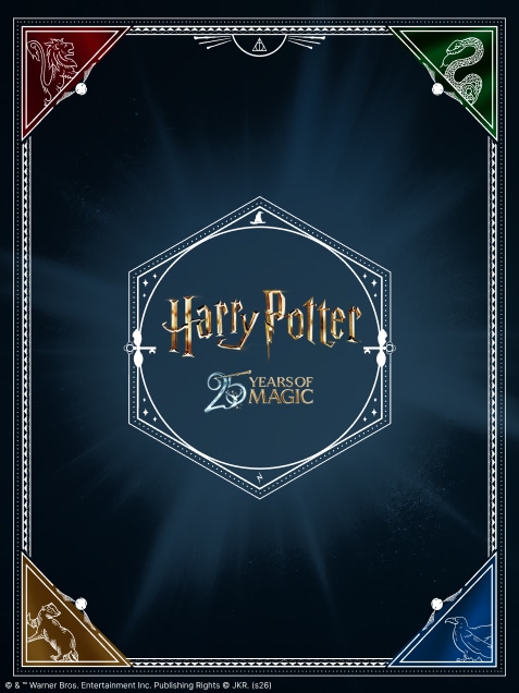 Pop Culture Harry Potter στα Public.