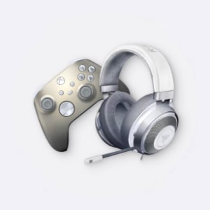 Gaming Accessories
